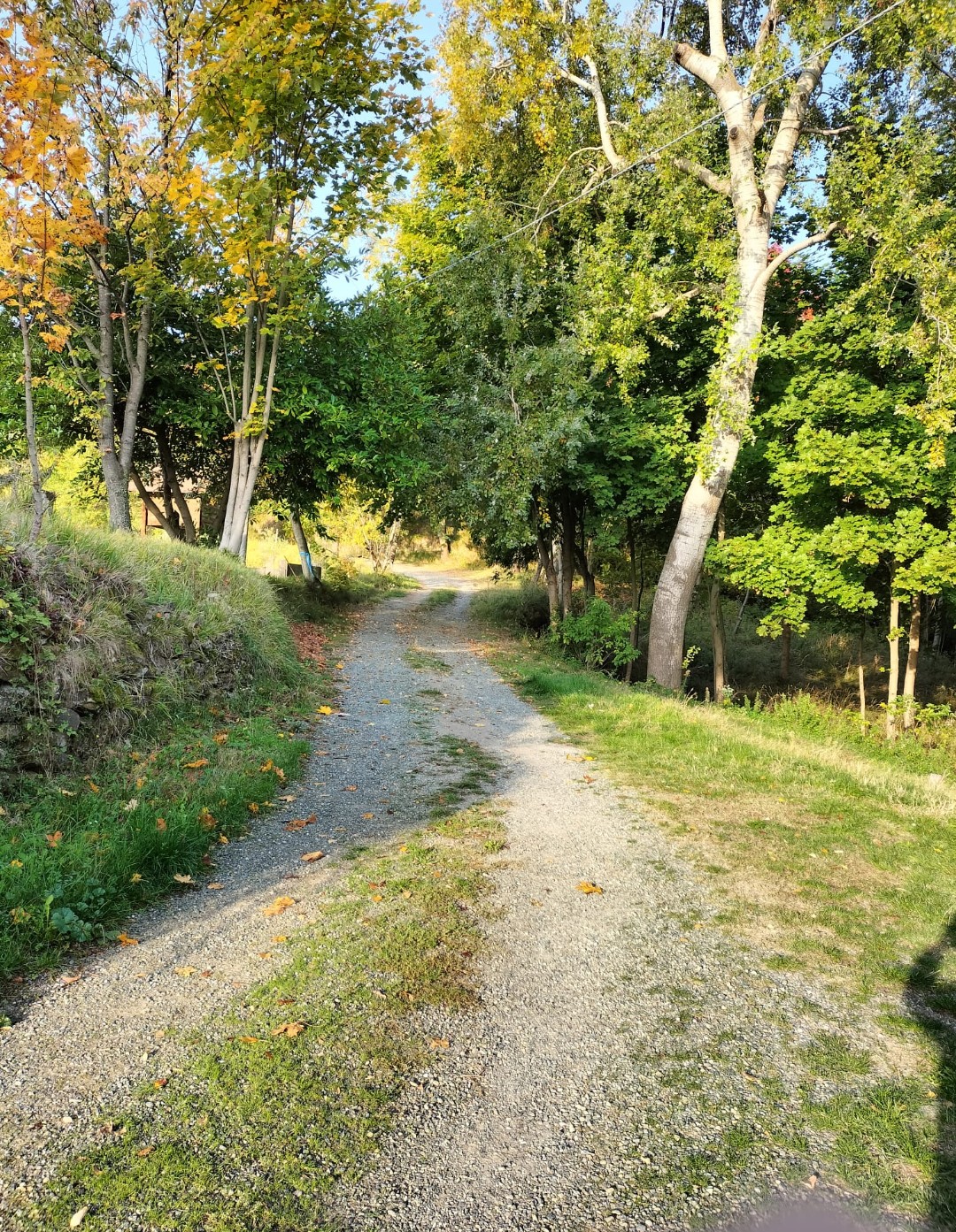 Il sentiero immerso nel verde