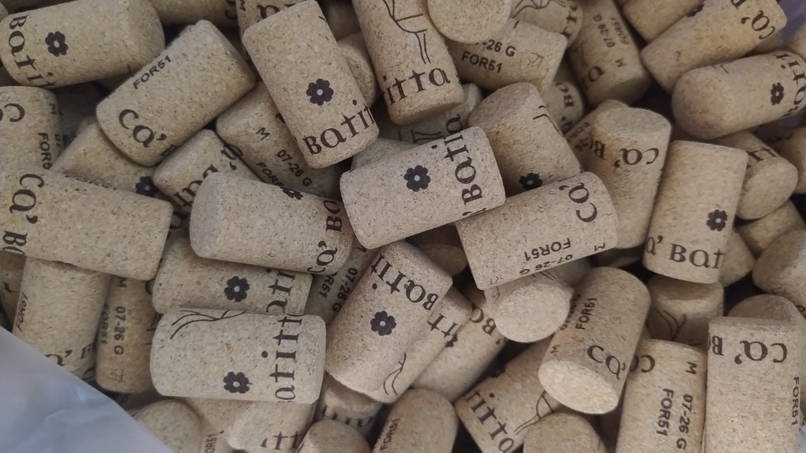 La cantina e i metodi di vinificazione